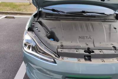 NETA V
