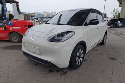 Wuling Bingo