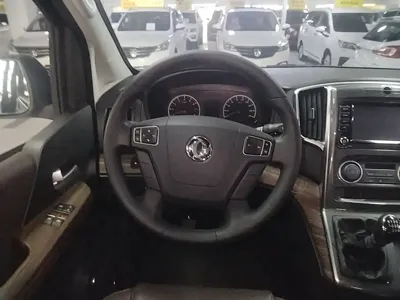 Fengxing Lingzhi PLUS
