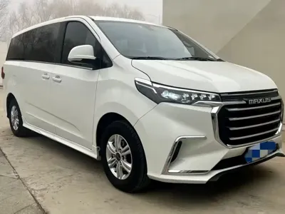 大通 G20