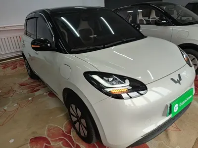 Wuling Bingo