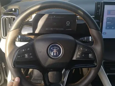 BYD Pro New Energy