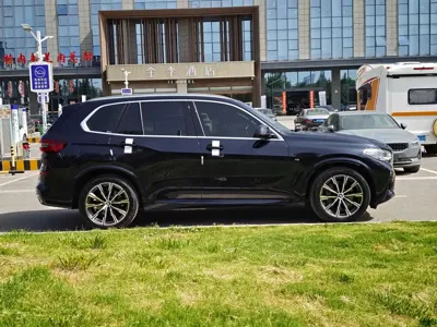 BMW X5 New Energy (Import)