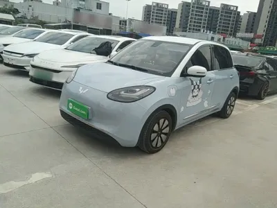 Wuling Bingo