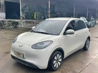 Wuling Bingo