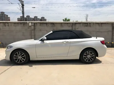 BMW 2 Series (Import)