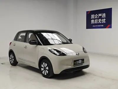 Wuling Bingo