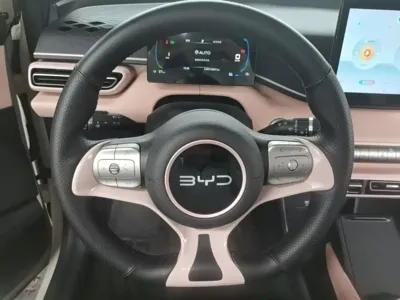 BYD Seagull