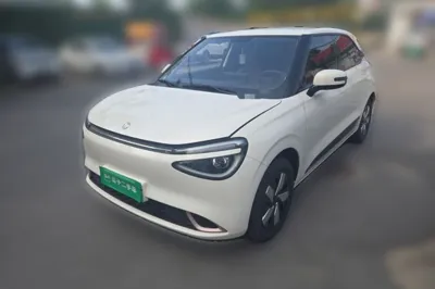 Dongfeng NAMMI 01