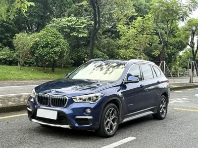 BMW X1 New Energy