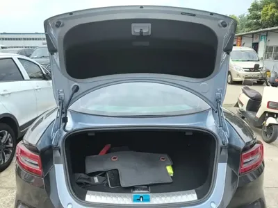 NETA Neta GT
