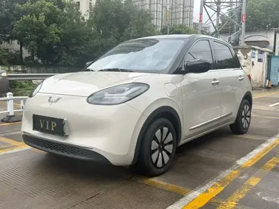 Wuling Bingo