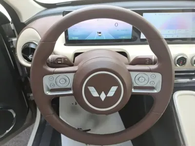 Wuling Bingo