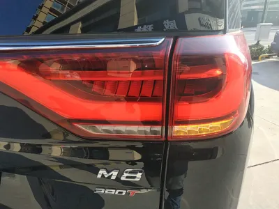 GAC Trampchi M8
