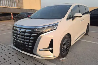 Denza D9