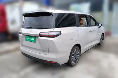Wuling Wuling Starlight 730