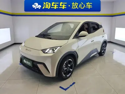 BYD Seagull