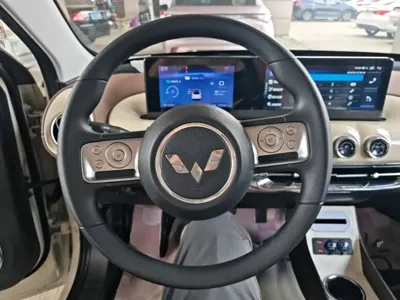 Wuling Bingo