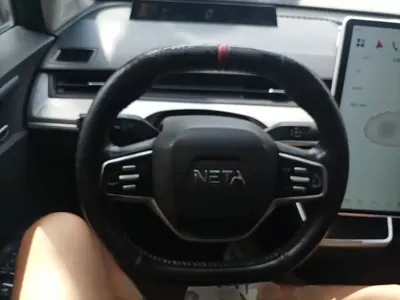NETA Neta V