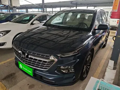 Wuling Victory