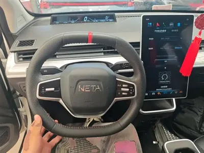 NETA Neta AYA
