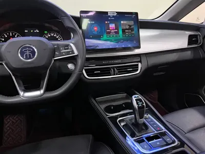 BYD MAX