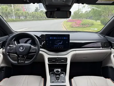 BYD PLUS New Energy