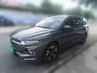 Wuling Victory