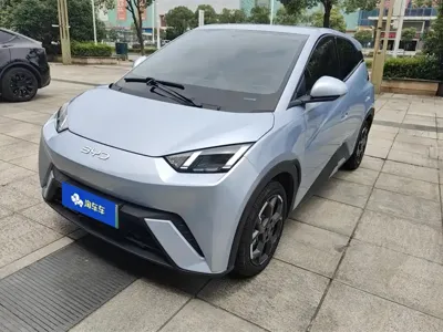 BYD Seagull