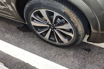 Li Auto ONE