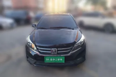 Zotye Z300