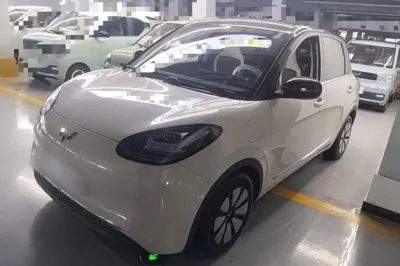 Wuling Bingo