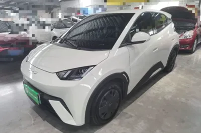 BYD Seagull