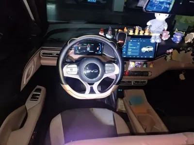BYD Seagull