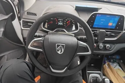 Baojun 310