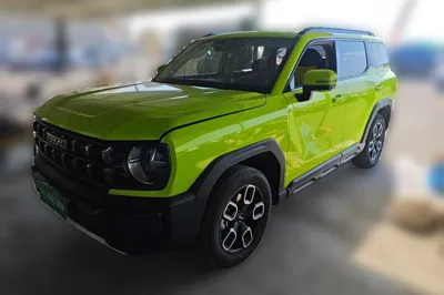 Haval X DOG