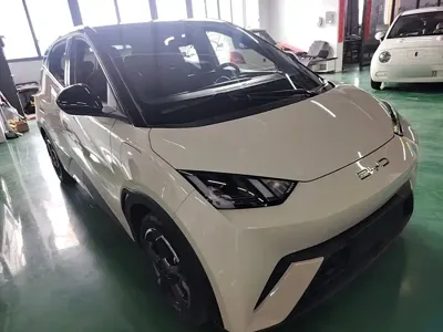 BYD Seagull