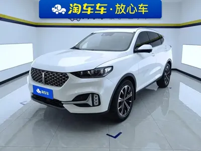 WEY Wey VV6