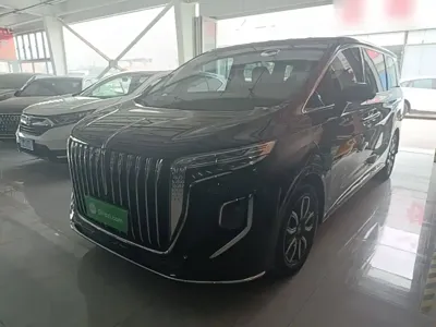 Hongqi Hongqi HQ9