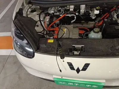 Wuling Bingo