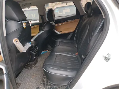 Geely Auto FX11