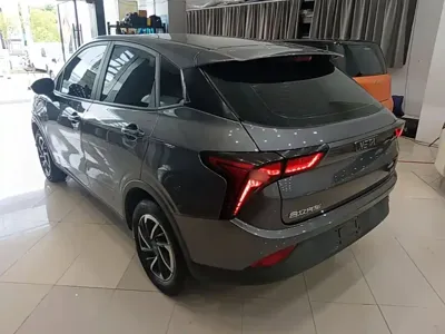 NETA Neta V