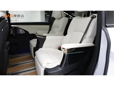 GAC Motor Trumpchi E9