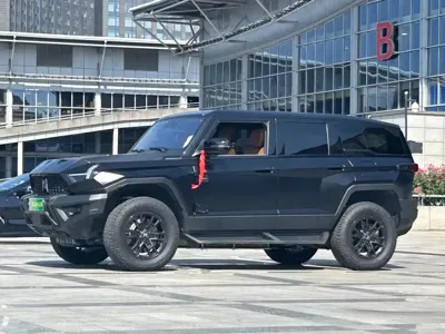 Mengshi Mengshi 917