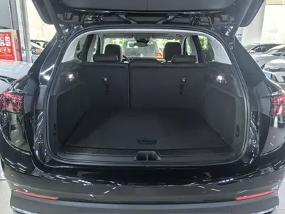 Buick Envision S