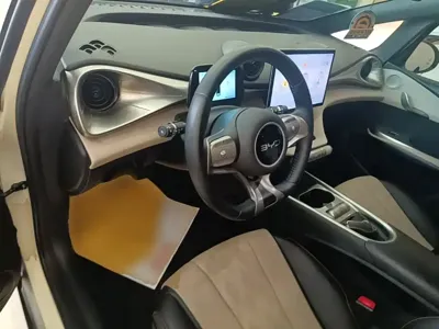 BYD Dolphin