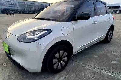 Wuling Bingo