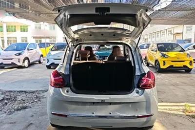Wuling Bingo