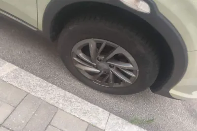 NETA V