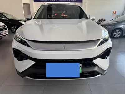 BYD Pro New Energy